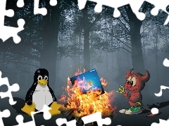 Kontra, Windows, Linux