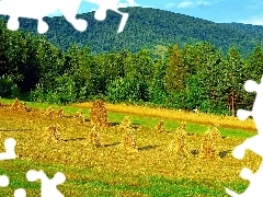 Góra, Łysa, Kopki, Sianno