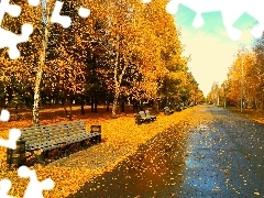 Jesień, Liście, Park, Drzewa