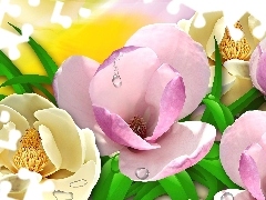 Art, Wody, Kwiaty, Krople