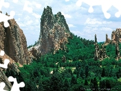 Las, Góra