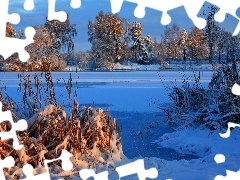 Krzewy, Drzewa, Zamarznięte, Zima, Jezioro
