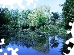 Drzewa, Odbicie, Jezioro