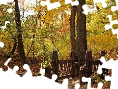 Jesień, Liście, Park, Mostek