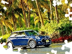 Palmy, Droga, Mini, Cooper F56
