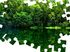 Jezioro, Odbicie, Las