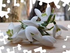 Bukiecik, Przebiśniegi