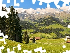 Łąki, Lasy, Alpy, Zagrody, Austriackie