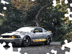 Drzewa, Droga, Ford, Mustang