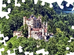 Jezioro, Las, Zamek Hohenschwangau, Niemcy