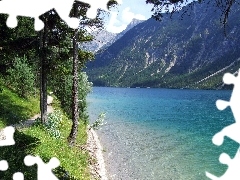 Ścieżka, Las, Góry, Rzeka