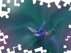 Roślina, Motyl