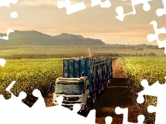 Pole, Droga, Ciężarówka, Volvo