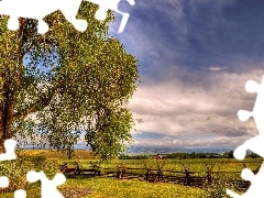 Drzewo, Ogrodzenie, Łąki, HDR, Pola