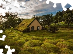 Ziemianka, Drzewa, Dom