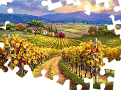 Winnice, Pola