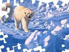 Lodowe, Kry, Niedzwiedzie, Polarne