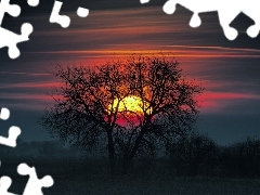 Słońca, Drzewo, Zachód
