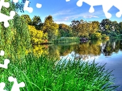 Las, Trawa, Jezioro