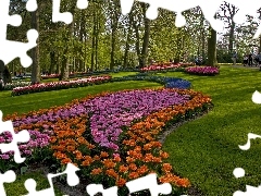 Trawniki, Drzewa, Park, Kwiaty