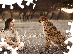 Gepard, Trawa, Kobieta