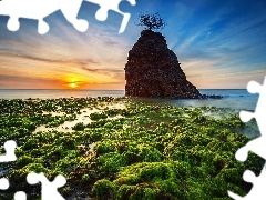 Mech, Skała, Zachód, Drzewo, Słońca Morze