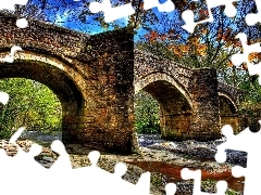 Rzeka, Las, Most