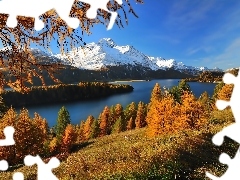 Szwajcaria, Lasy, Góry, Jezioro