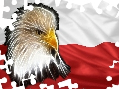 Orzeł, Polska, Barwy Narodowe
