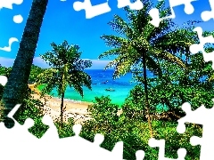 Tajlandia, Palmy, Morze, Plaża