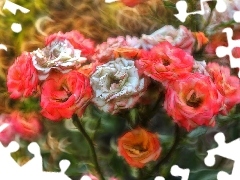 Kwiaty, Fractalius, Różę