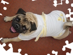 Mops