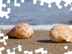Fale, Plaża, Muszelki, Morze, Piasek