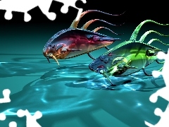3D, Ryby, Grafika