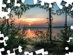 Drzewa, Słońca, Jezioro, Brzozy, Zachód