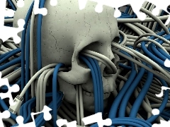 Przewody, Czaszka, 3D, Grafika