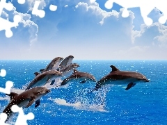 Morze, Chmury, Delfiny