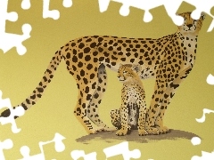 Cętki, Rysunek, Gepard