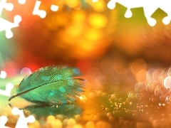 Makro, Bokeh, Piórko, Niebieskie