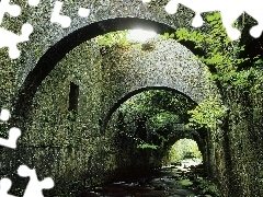 Tunel, Krzewy, Rzeczka