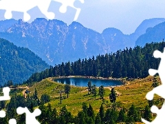 Jezioro, Góry, Las