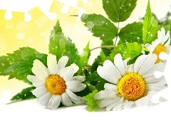 Margerytka
