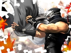Ryu Hayabusa, Dead Or Alive Dimension