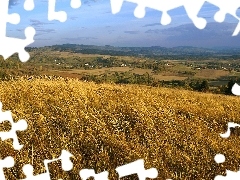 Wyżyny, Niebo, Zboże