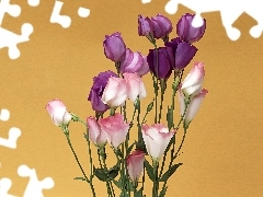 Bukiet, Eustoma