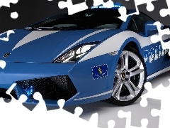 Lamborghini, Policyjne