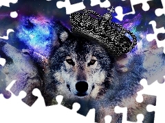 Wilk
