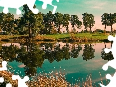 Golfowe, Pole, Drzewa, Stawek