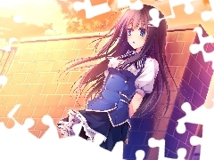 Anime, Manga, Dziewczyna, Ogrodzenie