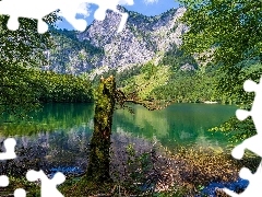 Jezioro, Drzewa, Góry